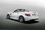 Mercedes-Benz SLK-Class by Carlsson 2012 года